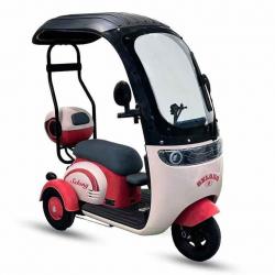 L-U1P:Electric Leisure Tricycle with Canopy For Three Passengers Electric Scooter