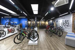 Giant Bicycles