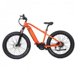 26 Inch Hardtail Electric Mountain Bike