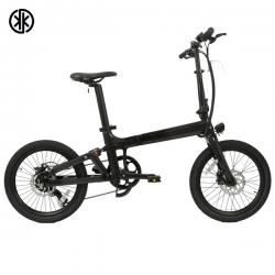 Carbon Fibre Folding E-Bike