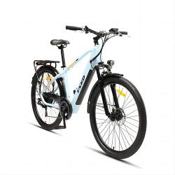 250W Motor green Mountain Style Full Suspension electric city bike